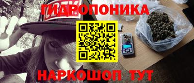 a pvp Усть-Илимск