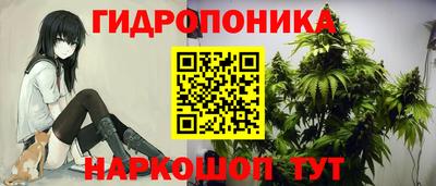 ECSTASY Усть-Джегута
