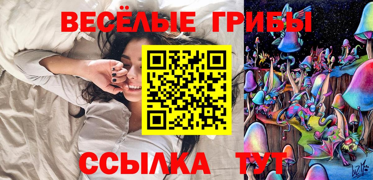 Галлюциногенные грибы Psilocybine cubensis  Вход с VPN  Псилоцибиновые грибы мицелий  Медногорск 