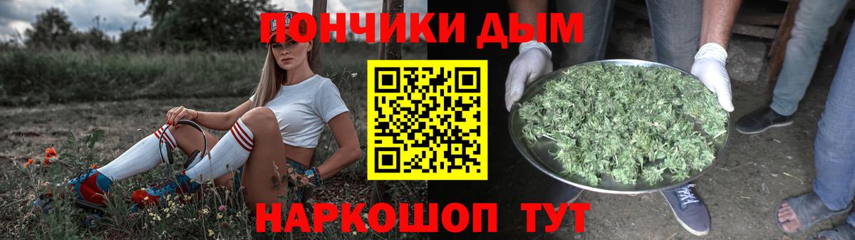 Конопля сатива Медногорск